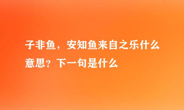 子非鱼，安知鱼来自之乐什么意思？下一句是什么