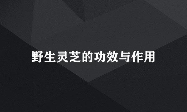 野生灵芝的功效与作用