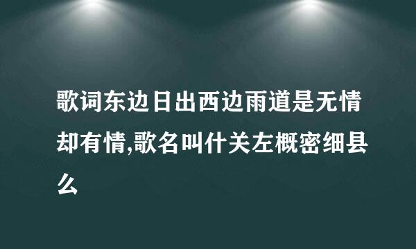 歌词东边日出西边雨道是无情却有情,歌名叫什关左概密细县么