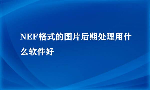 NEF格式的图片后期处理用什么软件好