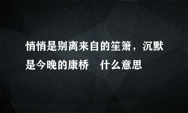 悄悄是别离来自的笙箫，沉默是今晚的康桥 什么意思