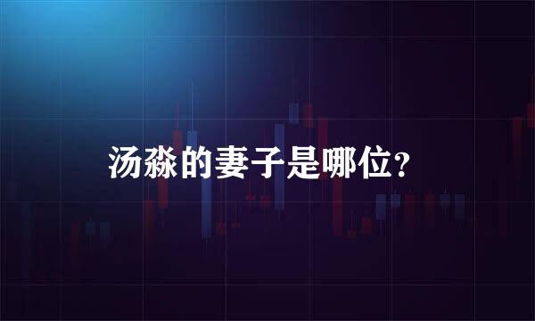汤淼的妻子是哪位？