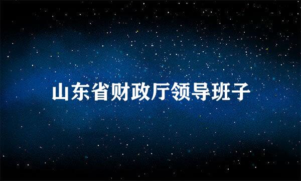 山东省财政厅领导班子