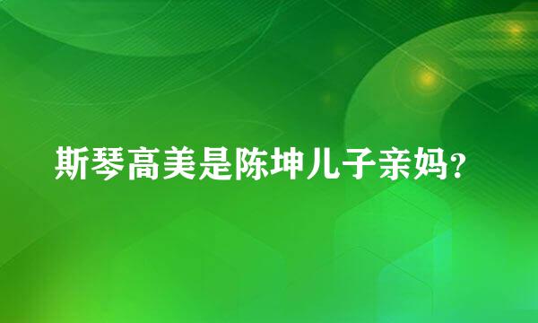 斯琴高美是陈坤儿子亲妈？