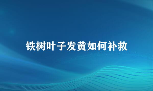 铁树叶子发黄如何补救