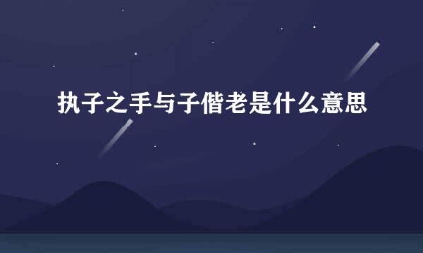 执子之手与子偕老是什么意思