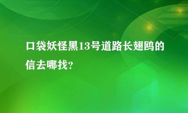口袋妖怪黑13号道路长翅鸥的信去哪找？