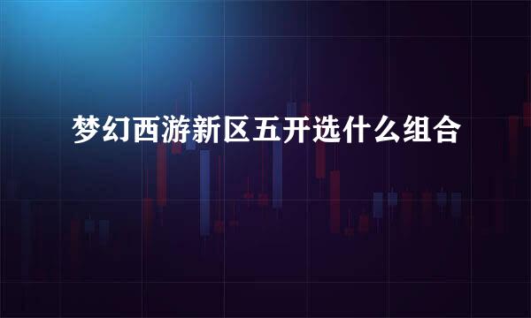梦幻西游新区五开选什么组合