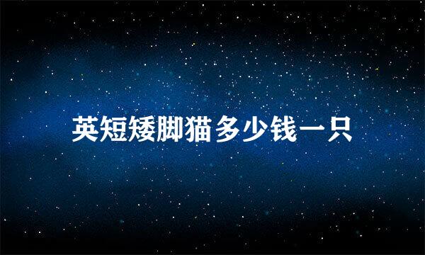 英短矮脚猫多少钱一只