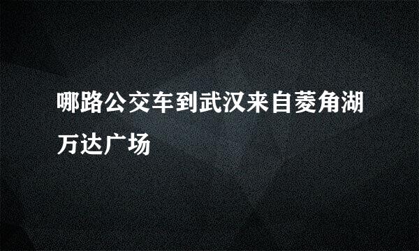 哪路公交车到武汉来自菱角湖万达广场