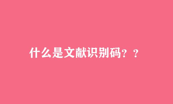 什么是文献识别码？？