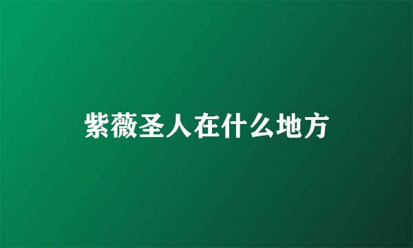 紫薇圣人在什么地方