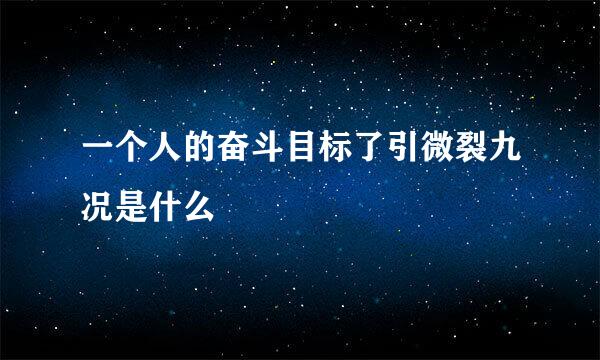 一个人的奋斗目标了引微裂九况是什么