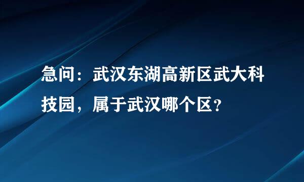 急问：武汉东湖高新区武大科技园，属于武汉哪个区？