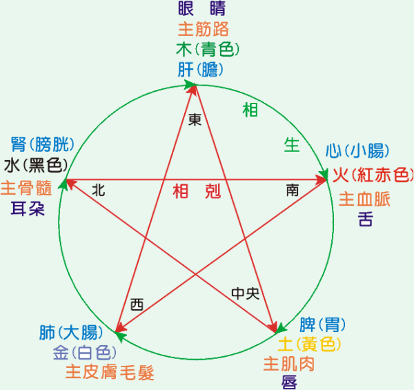 何为五行，五行与五脏情志的来自对应关系