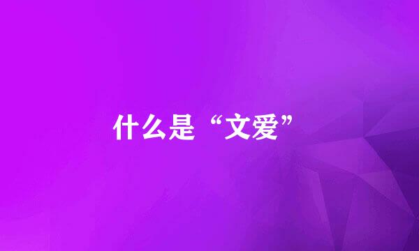 什么是“文爱”