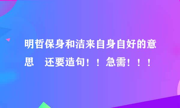 明哲保身和洁来自身自好的意思 还要造句！！急需！！！