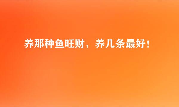 养那种鱼旺财，养几条最好！
