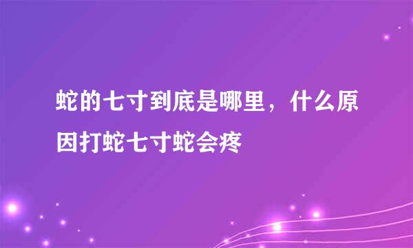 蛇的七寸到底是哪里，什么原因打蛇七寸蛇会疼