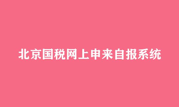 北京国税网上申来自报系统
