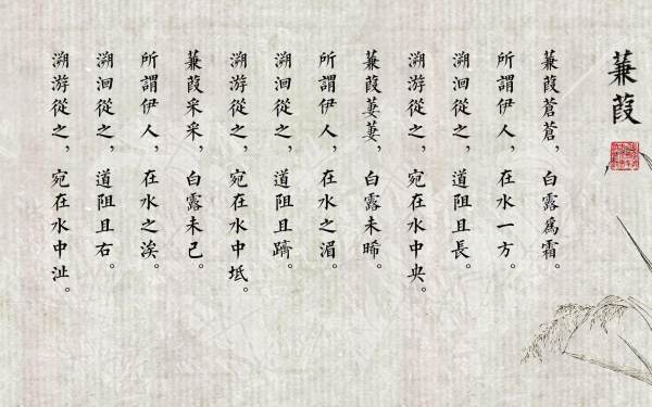 蒹葭凄凄，白露未晞。 是什么意思？来自