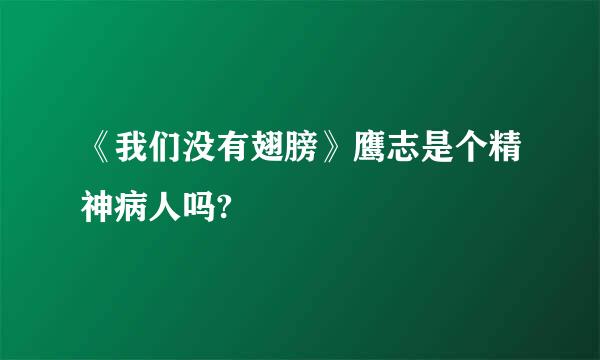 《我们没有翅膀》鹰志是个精神病人吗?