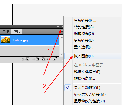 为什么图片放不进去AI里面？