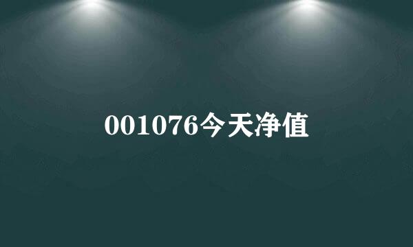 001076今天净值