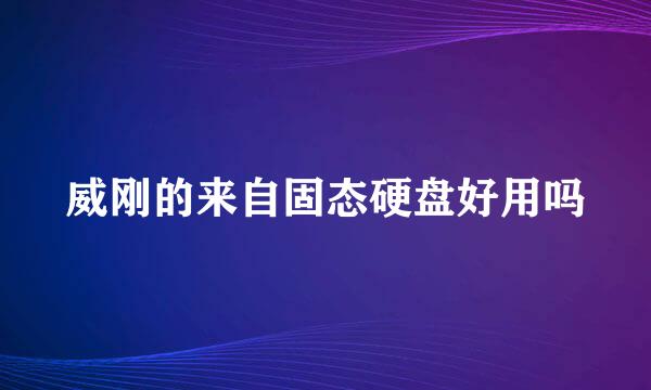 威刚的来自固态硬盘好用吗