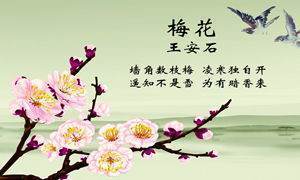 梅花王安石古诗原文