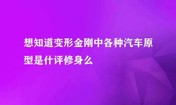 想知道变形金刚中各种汽车原型是什评修身么