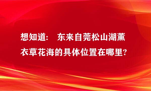 想知道: 东来自莞松山湖薰衣草花海的具体位置在哪里?