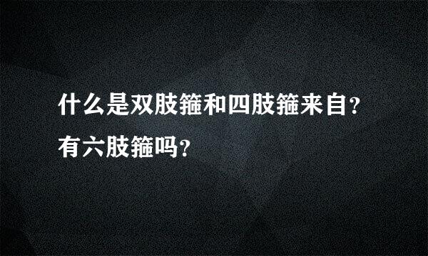什么是双肢箍和四肢箍来自？有六肢箍吗？