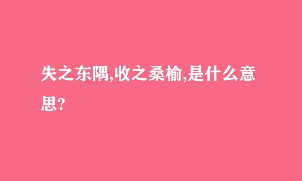 失之东隅,收之桑榆,是什么意思?