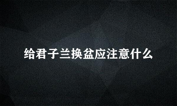 给君子兰换盆应注意什么