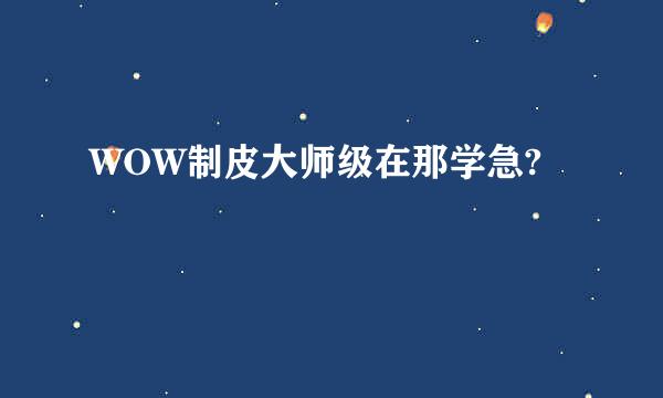 WOW制皮大师级在那学急?