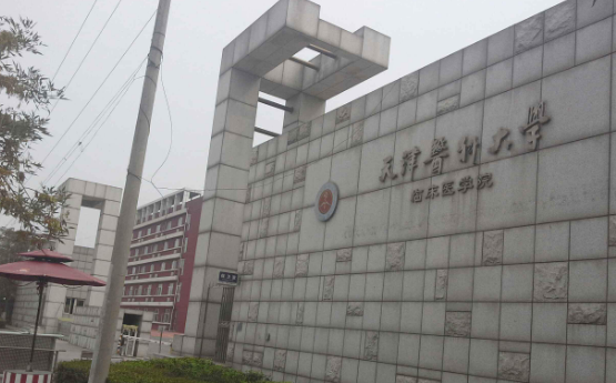 天津市医成眼内科大学有三本吗