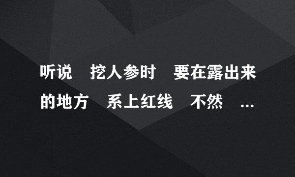听说 挖人参时 要在露出来的地方 系上红线 不然 什么都挖不到 为什么啊