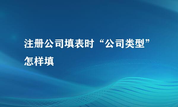注册公司填表时“公司类型”怎样填