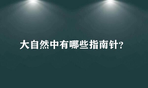 大自然中有哪些指南针？