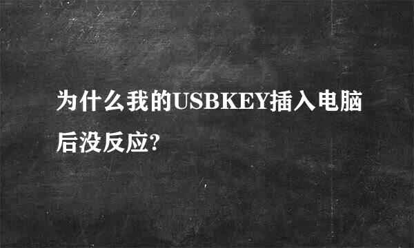 为什么我的USBKEY插入电脑后没反应?
