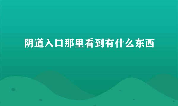 阴道入口那里看到有什么东西