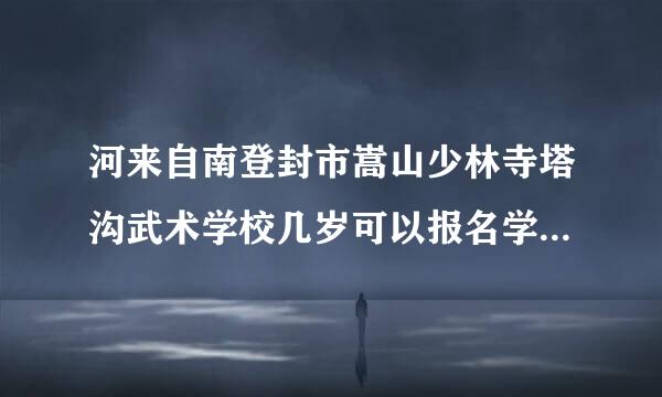 河来自南登封市嵩山少林寺塔沟武术学校几岁可以报名学费多少？