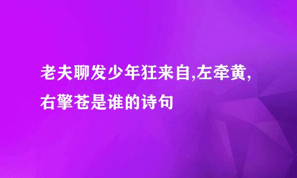 老夫聊发少年狂来自,左牵黄,右擎苍是谁的诗句