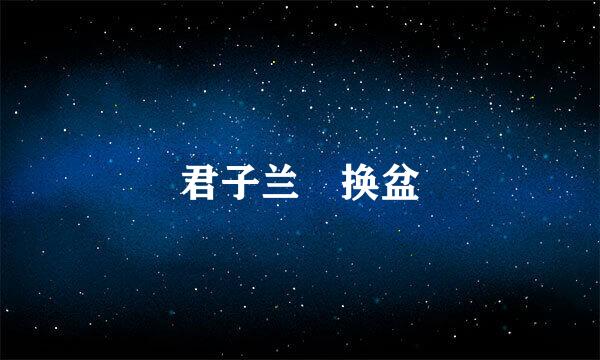 君子兰 换盆
