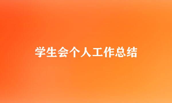 学生会个人工作总结