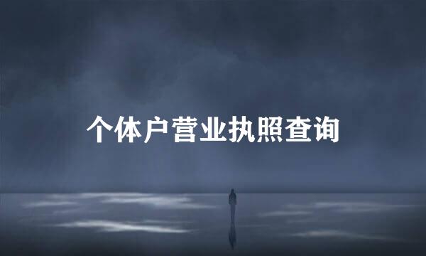 个体户营业执照查询