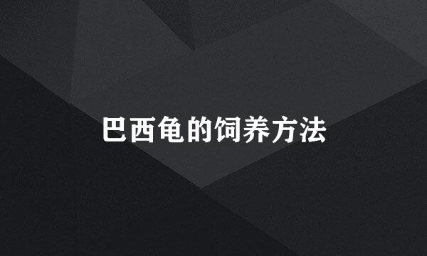 巴西龟的饲养方法