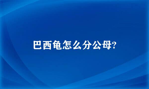 巴西龟怎么分公母?