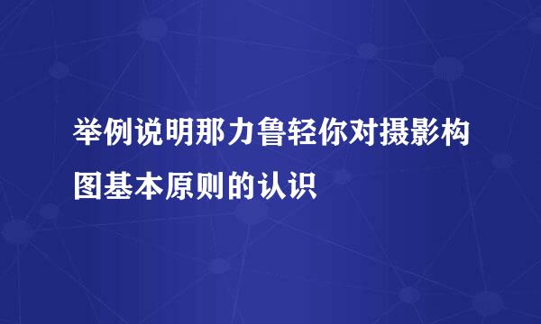 举例说明那力鲁轻你对摄影构图基本原则的认识